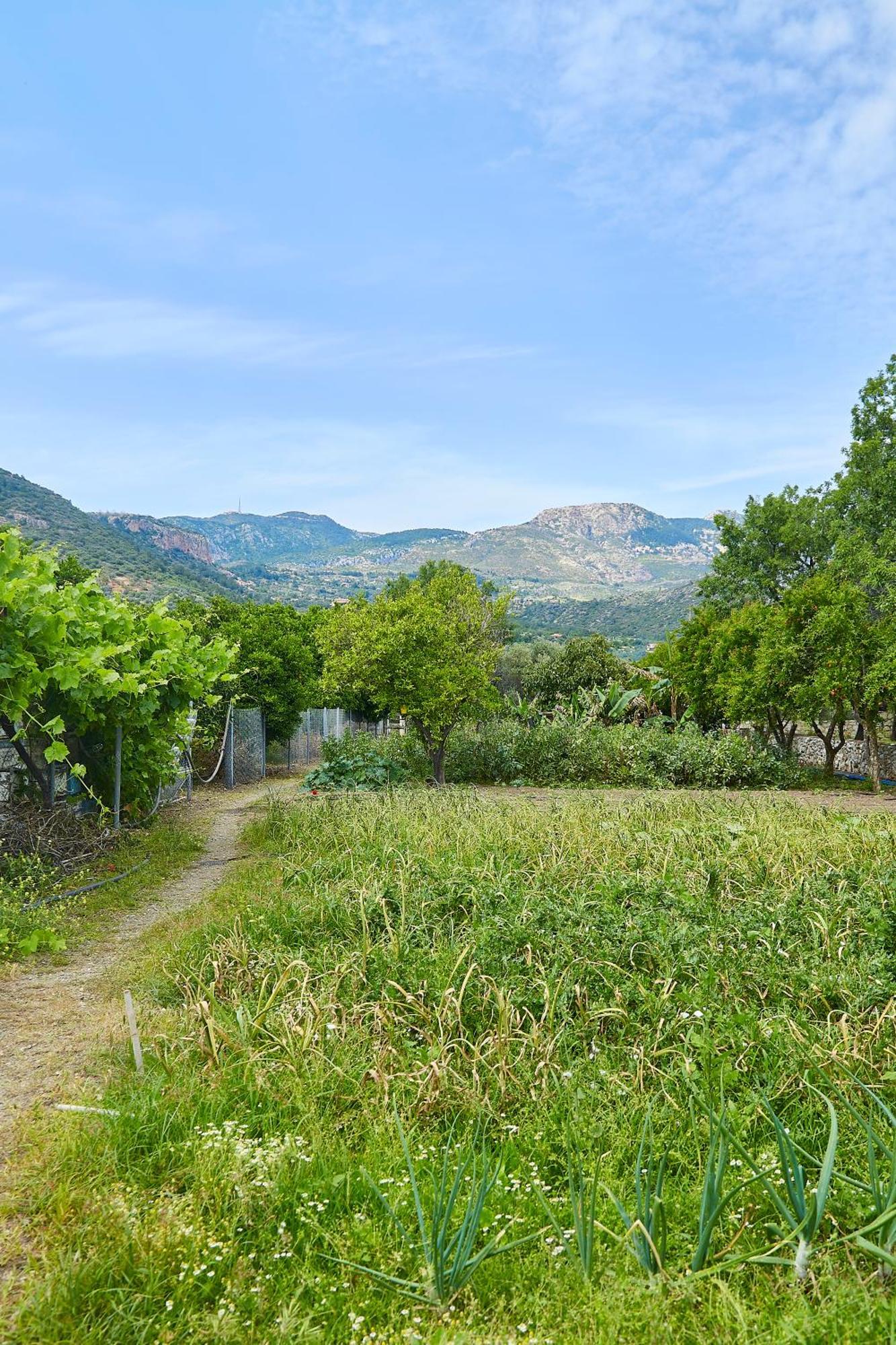Melinda Pension & Restaurant Mesudiye  Exterior foto